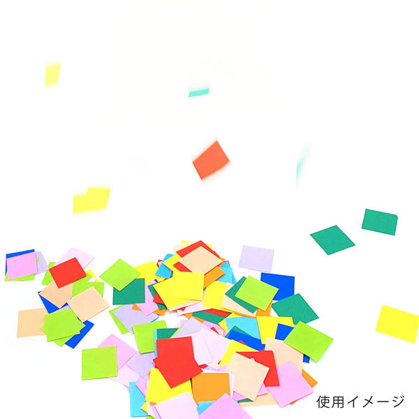 紙吹雪 ホワイト- 生地と型紙の通販サイト：nunocoto fabric