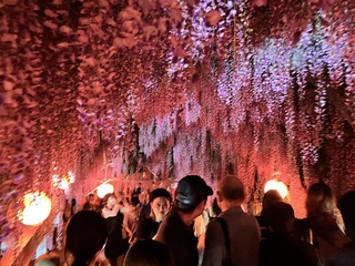 中山大藤 アクセス・営業時間・料金情報 - じゃらんnet