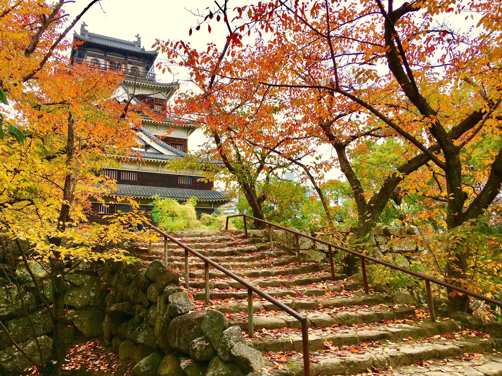 幸多き年になりますように 筆文字 縦書きのイラスト素材41581627- PIXTA