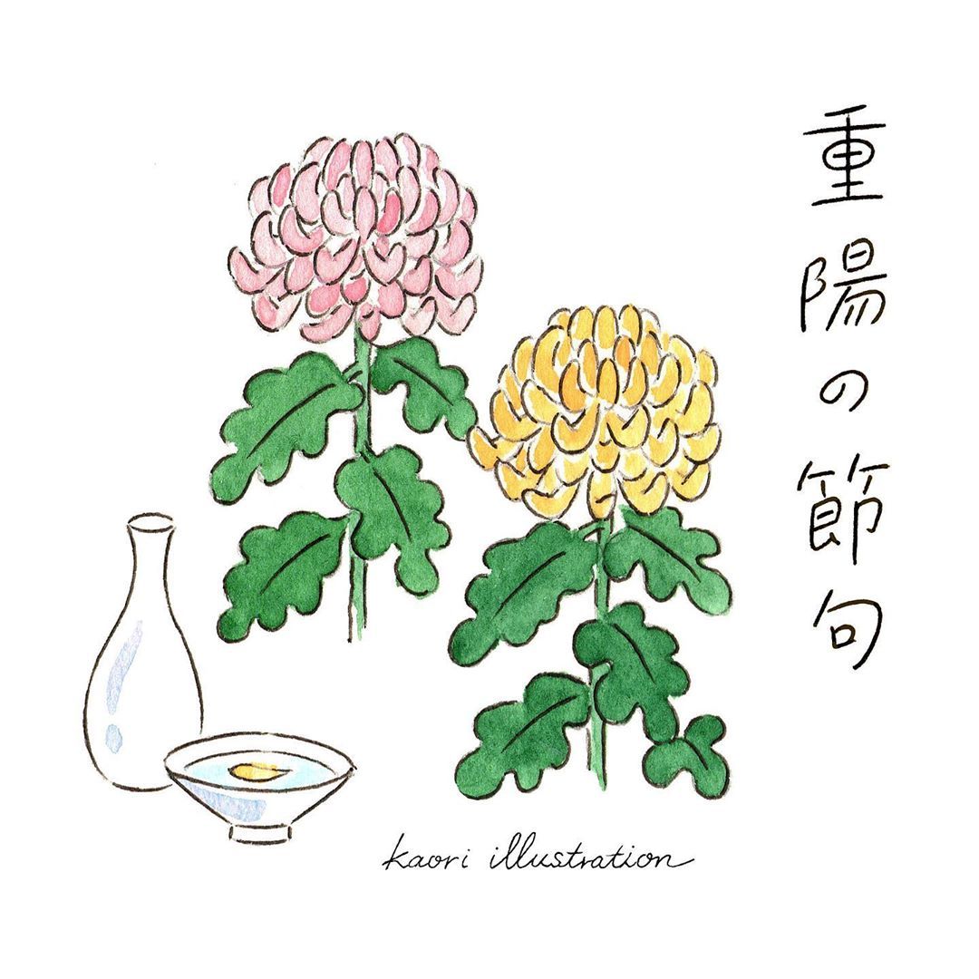 重陽の節句 菊の節句とも呼ばれる日ですが、桃の節句や端午の節句、七夕の節句などに比べてあまり馴染みはないようです🌀菊は天皇家の「菊の御紋」に使われる高貴な植物として扱われる反面、仏花としてのイメージも強くお祝いごとから敬遠されたりもします🍂 でも最近の