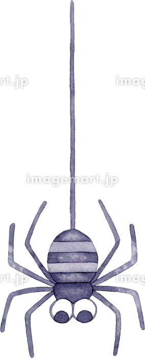 イラストかわいい面白いクモやクモの巣ハロウィン、影でシンプルなスタイルのの写真素材・画像素材 Image 42815658