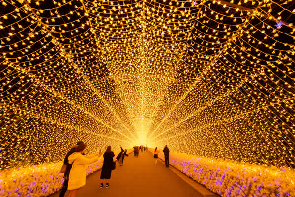 プレスリリース なばなの里イルミネーションイルミネーションなばなの里