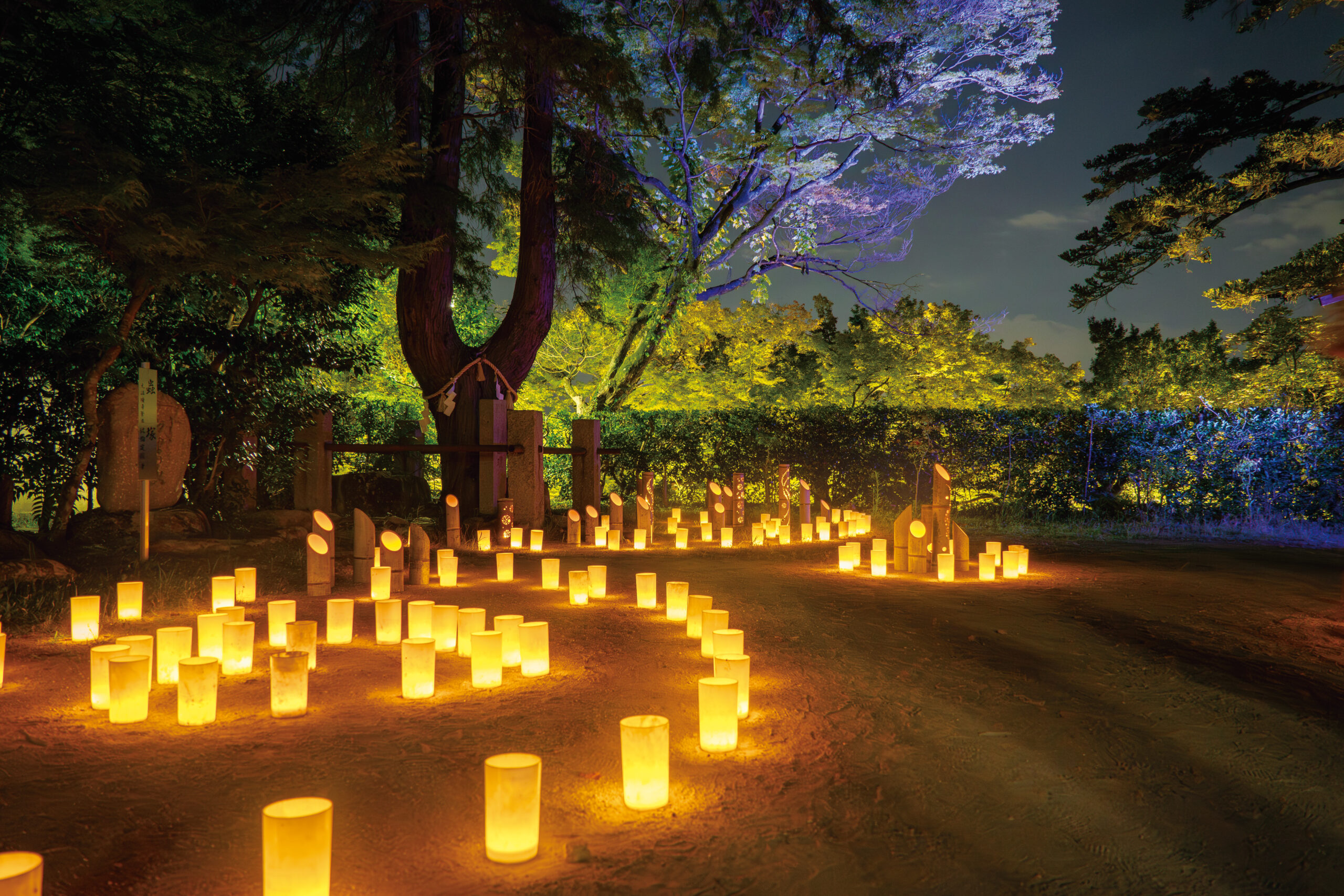 関西の夏イベント特集花火・祭り・ライトアップを網羅