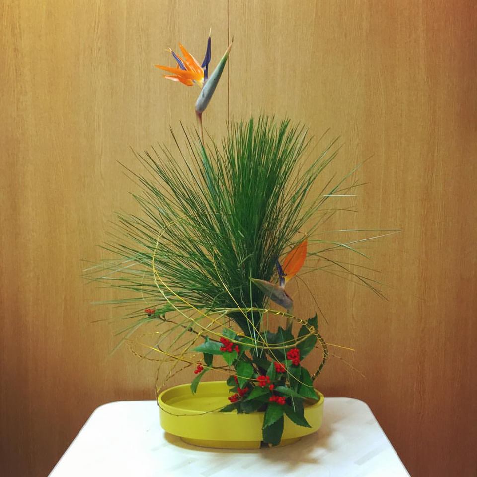 お正月準備園芸日記by多菜花家みんなの趣味の園芸352004