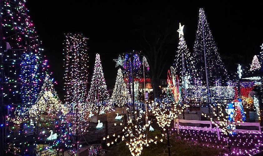 3家族で宮ヶ瀬ダムのイルミネーションへ✨ 旦那同士が同じ会社で、家も近所で、、 最近は本当によく会ってる家族たち☺️ また思い出が増えて嬉しいなぁ♡宮ヶ瀬ダムのイルミネーションは 屋台がたくさん並んでてお祭りみたいだった☺️ なんかもう何年も夏祭りに行って