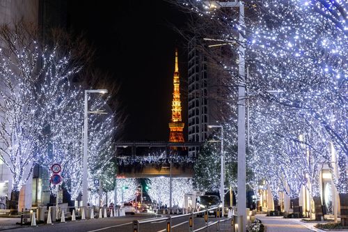 丸の内仲通り 東京都千代田区2024年クリスマスマーケット開催情報 - amAtavi