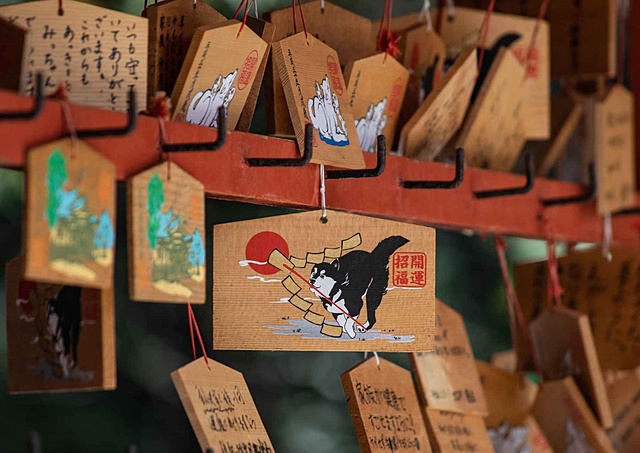 御祈祷 御祓 御祈祷・ご参拝越後一宮 彌彦神社