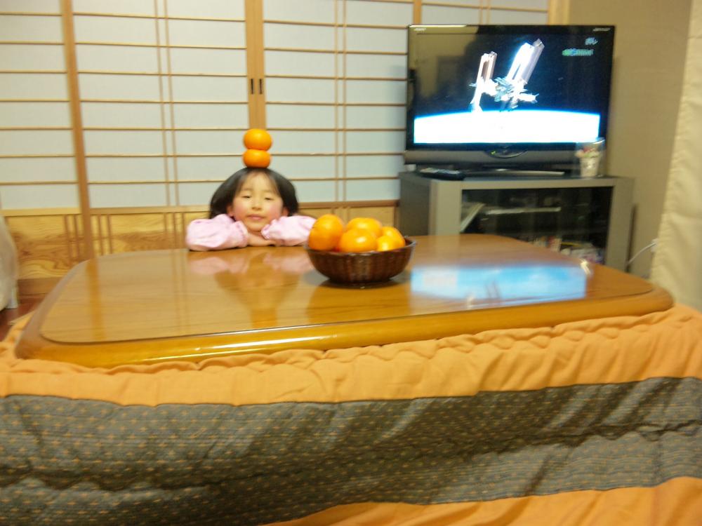 ミニサイズのネコ専用こたつ付きみかん「猫と、こたつと、思い出みかん」が発売！グルメ - Japaaan猫