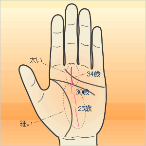 結婚線の見方とは？ 結婚年齢の現れ方と種類別の意味 手相占い 「マイナビウーマン」