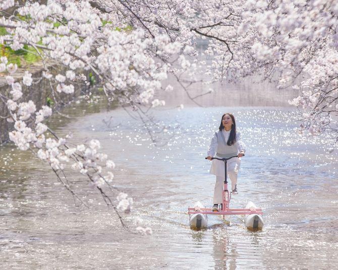 芝公園の桜東京タワーと桜の組み合わせが美しい花見スポットですKANAMARI かなまり