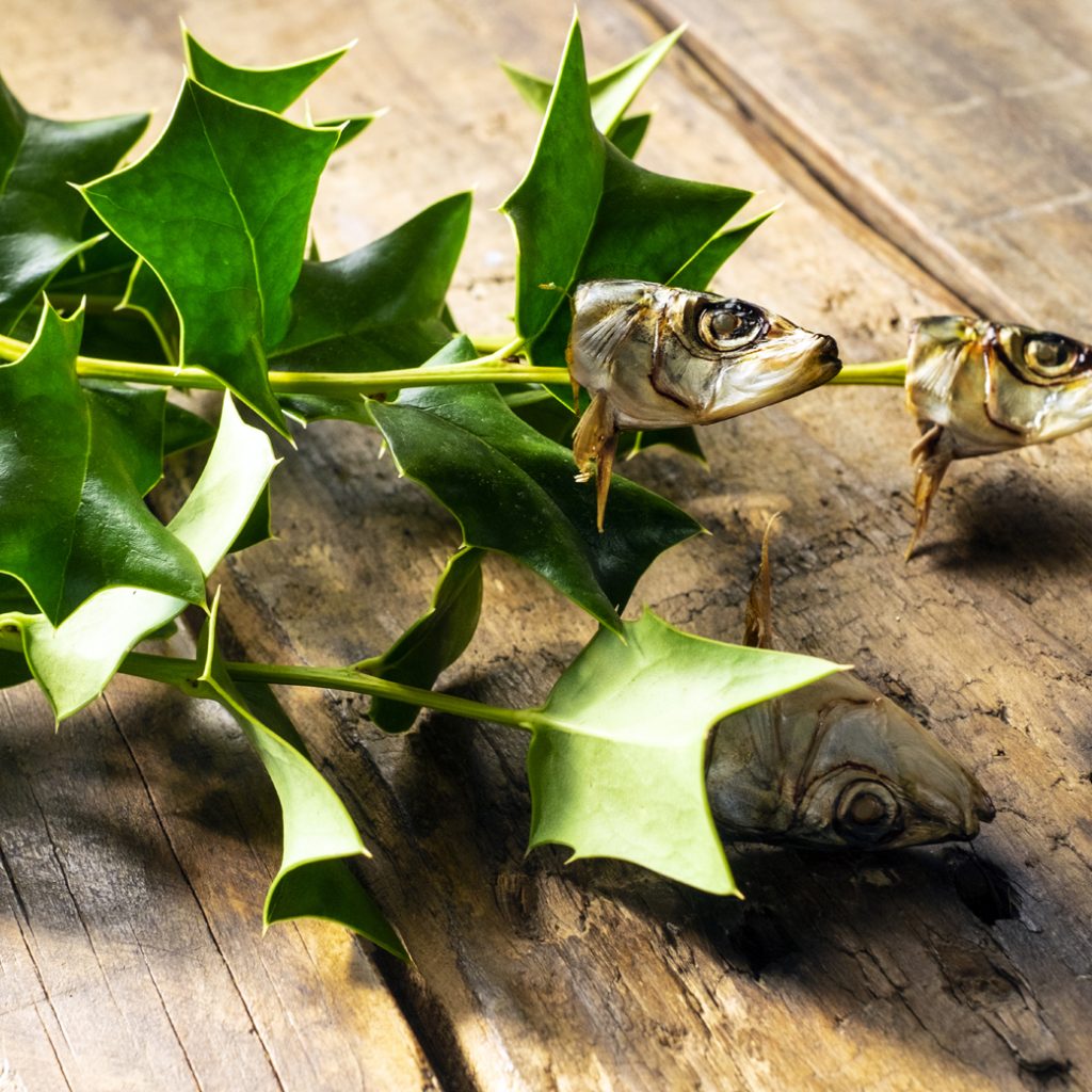 節分の魔除け 柊鰯-236×300 – 社会福祉法人やまだ福祉文庫 自然 じねん