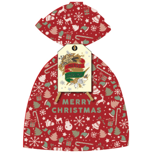 みんなの投稿 4.5歳児プレゼント袋保育と遊びのプラットフォーム ほいくる