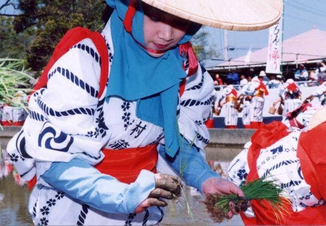 和良比はだか祭り どろんこ祭り- 民俗行事・野鳥等のalbum