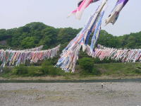 2025年 泳げ鯉のぼり相模川 - 出発前に知っておくべきことすべて - トリップアドバイザ