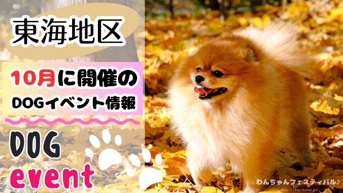 東海地区最大級の日本酒イベント「秋酒祭 2024」今年も愛知・岐阜の2ヶ所で開催！株式会社ZIP-FM - イベントサーチ