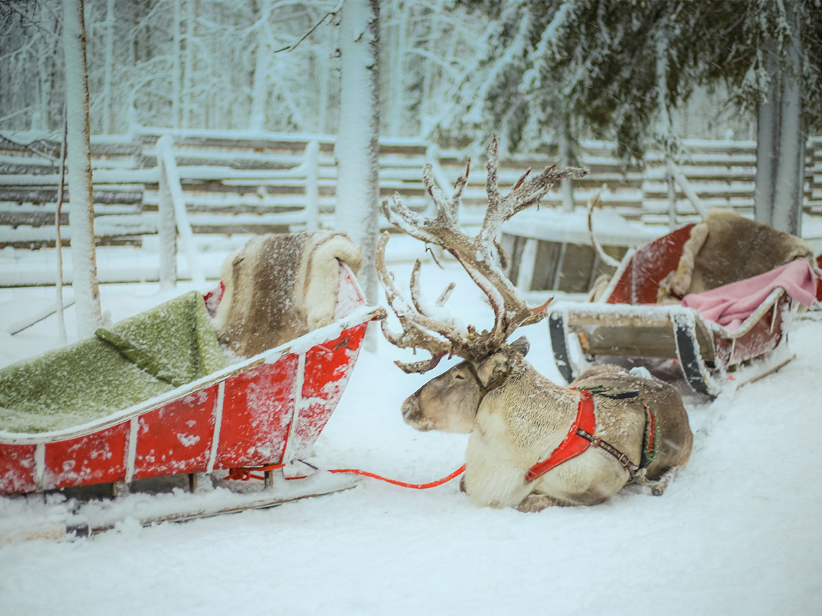 22年目の夏 世界サンタクロース会議に出席 連載 流転のパラダイス人生Aktio Note-アクティオノート〜創造する人のためのノート