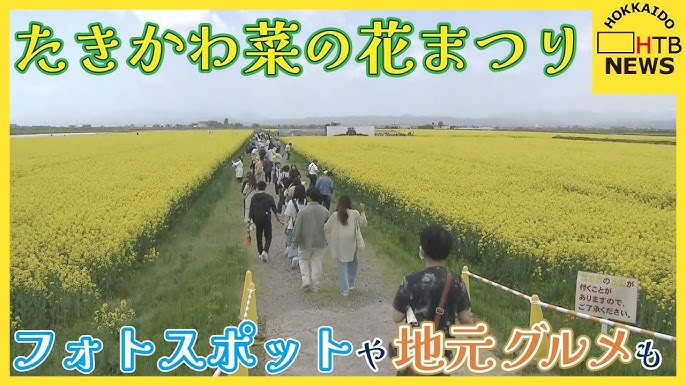 たきかわ菜の花まつり～滝川北海道のおすすめ観光地