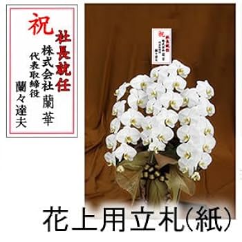 社長就任祝いのお花は胡蝶蘭が無難。これを読めば立札のマナーも完璧！ - 胡蝶蘭のトリセツ