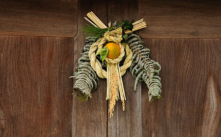 お正月飾りの珍しい葉『ゆずり葉』園芸日記bymeikaみんなの趣味の園芸741470