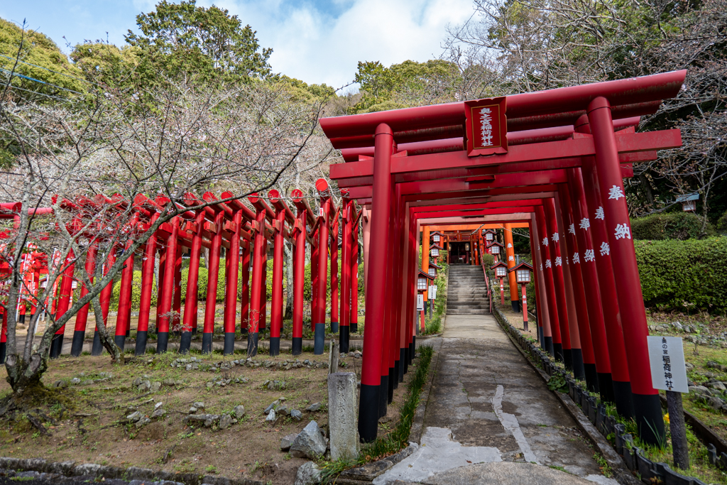 おめでた過ぎる!? 日本一の「しめ縄」「大太鼓」「大鈴」を有する神社がある都道府県はどこ？都道府県クイズ2 2- All Aboutニュース