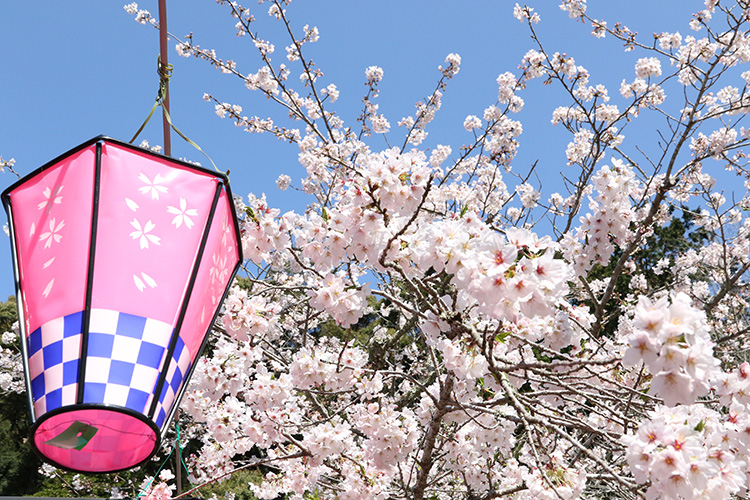 法多山の初詣で渋滞を回避する方法は？ルート付きでの行き方を紹介