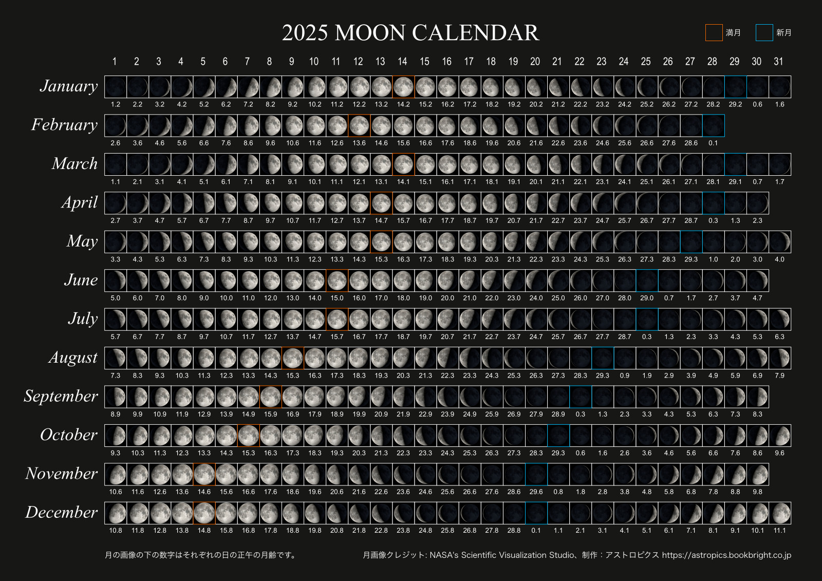 ２０２６ 月の満ち欠け 西暦 旧暦対応壁掛けカレンダー伊東屋オンラインストア