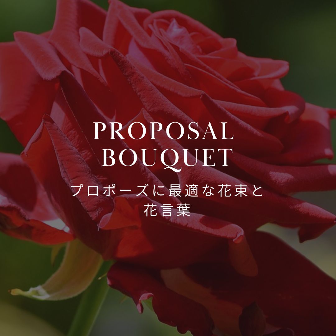 プロポーズに最適な花束と花言葉 – &YOUKAENアンドユーカエン