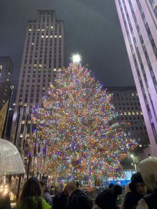 ニューヨークのクリスマス・シーズンを100％楽しむための6つのポイント地球の歩き方