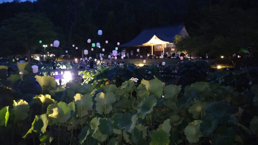 Event 夏の城沼 花ハスまつりタウンぐんま