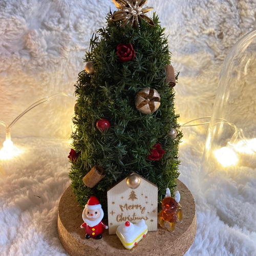 マジカルなエッセンスが光るガラスツリーは、まるでトップスターがクリスマスの街に魔法をかけているかのよう☆