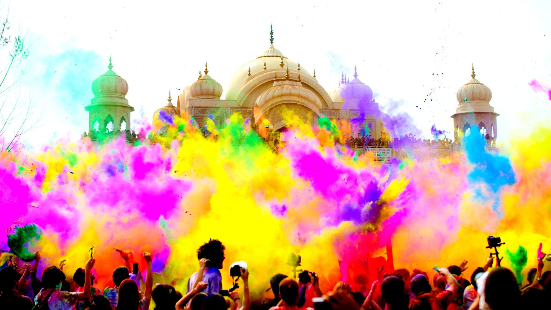 世界中から観光客が押し寄せる、世にも珍しい花の奇祭「コルソズンデルト」TABIZINE～人生に旅心を～