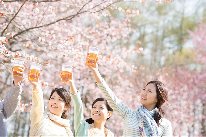 お花見とは？どうやって始まったの？花見の歴史や由来を解説！株式会社オマツリジャパン