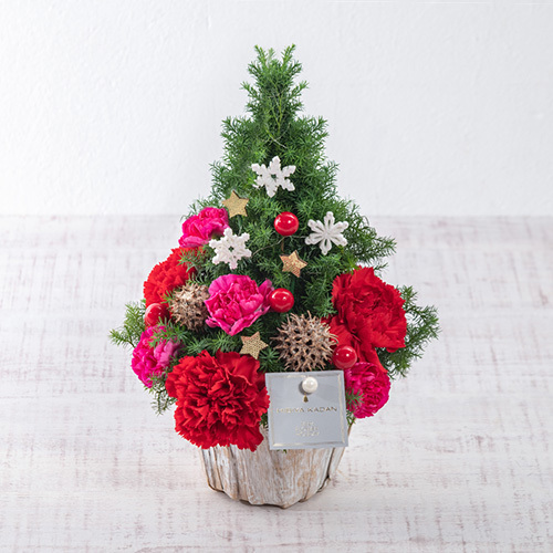 クリスマスの準備はミヤコ花壇へどうぞ♪花・フラワーギフトのミヤコ花壇