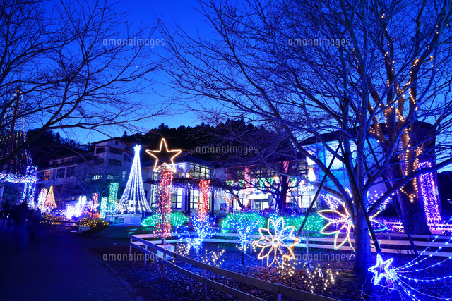 意外に穴場？神奈川「宮ヶ瀬光のメルヘン」がめちゃんこ楽しい神奈川県トラベルjp 旅行ガイド