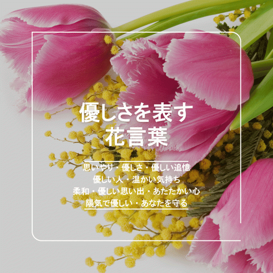 創作に使えそうな｢サフラン｣の色々創作決定 仮