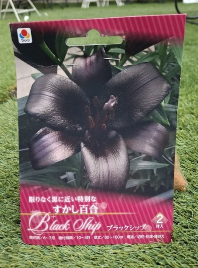 フラワーガーデン泉 - 前橋市今井町 園芸用品店Yahoo!マップ