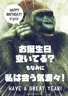 スタンプ」のアイデア 18 件笑える誕生日メッセージ, 誕生日 画像 おもしろ, おめでとう 画像