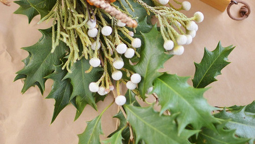 DECOLE ディスプレイ デコレ コンコンブル concombre 松足神社 節分祭 まったり白梅 ZFK-62004K 節分 :シモジマラッピング倶楽部 Yahoo!店 - 通販 - Yahoo!ショッピング