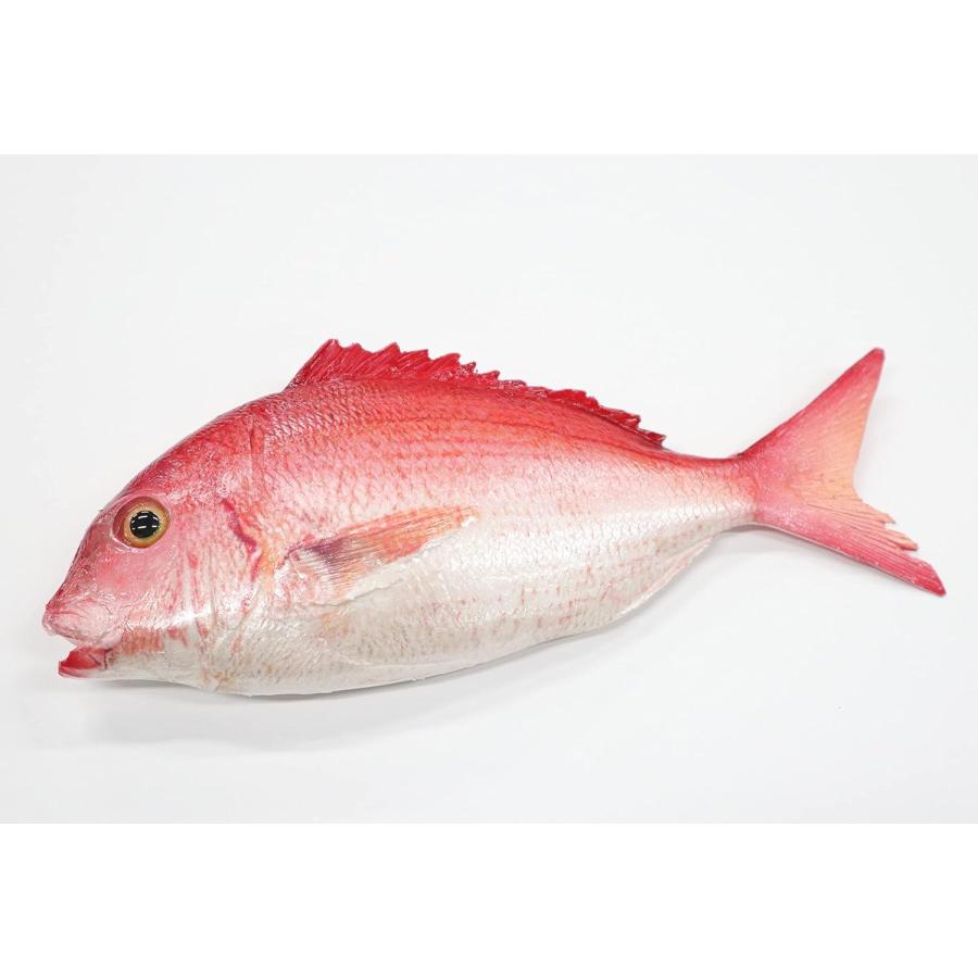 新嘗祭神饌の鯛公式 座間郷総鎮守 鈴鹿明神社