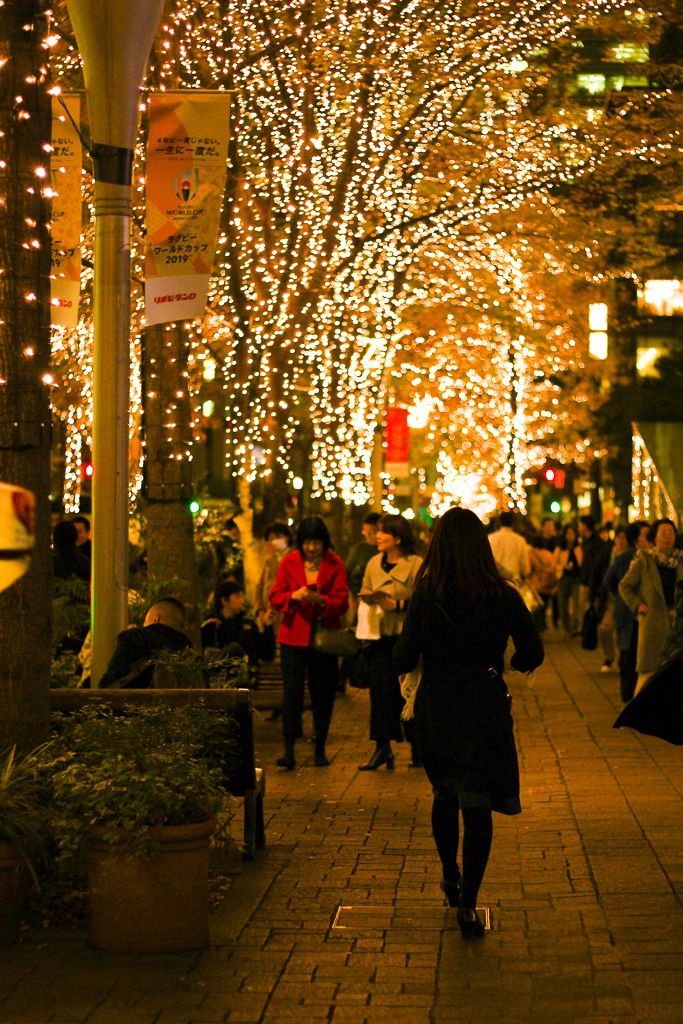 男子必見！ 女子高生が最高にキュンとする「クリスマスキス」高校生なうスタディサプリ進路 高校生に関するニュースを配信