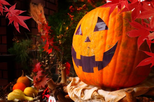 ハロウィン用の素材第44弾：イラスト無料