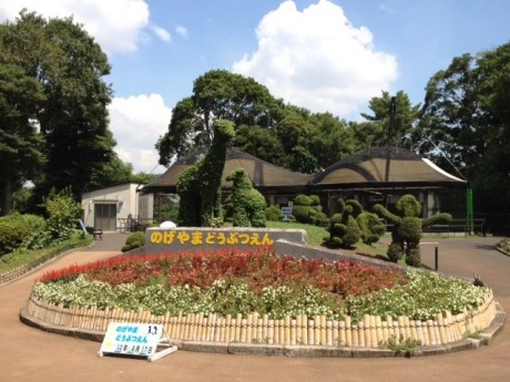 40年アニバーサリー 横浜・野毛大道芸フェスティバルに出かけてみたガジェット通信 GetNews