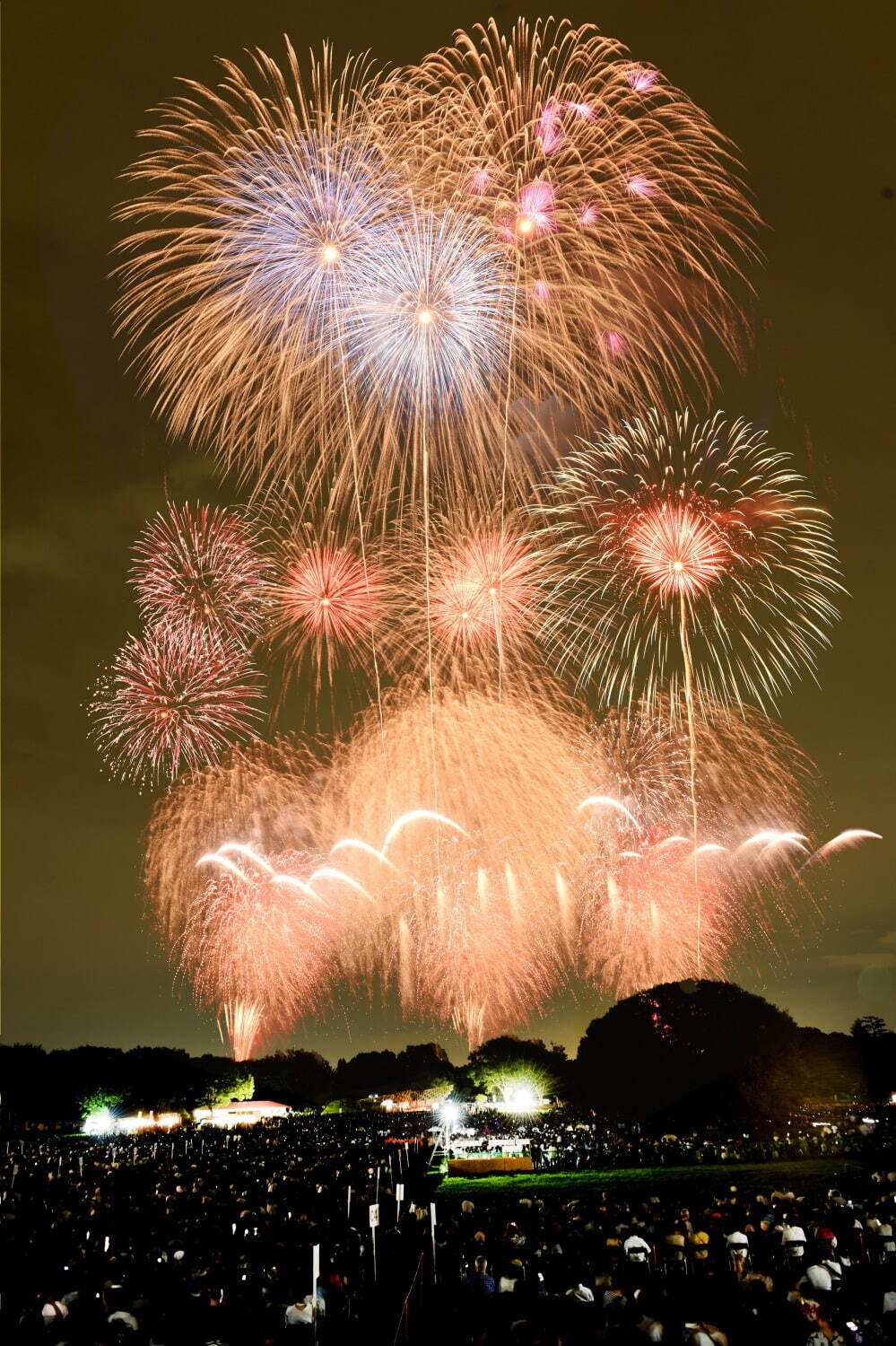 いよいよ今週末開催！「第65回いたばし花火大会」の見どころやアクセス、天気予報をチェック - 花火大会2025 - ウォーカープラス