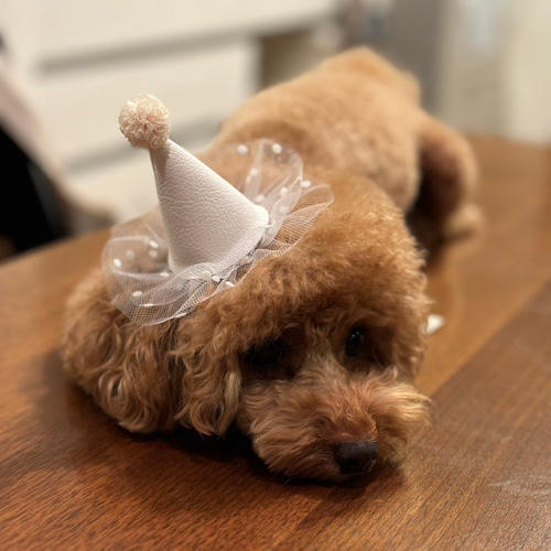 DIY Idea : パーティーハット - リトルレモネードバルーン＆パーティープランナ