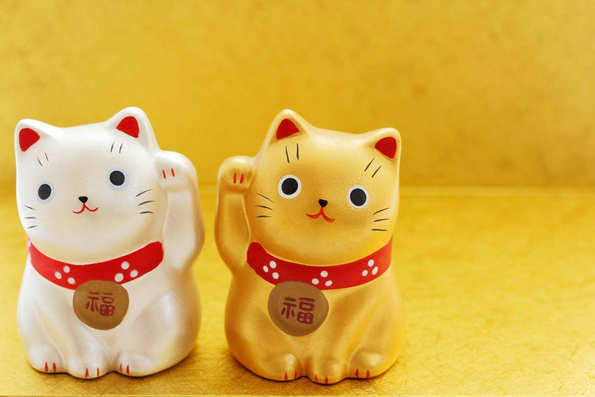 白猫に会うと幸せが訪れる！？ 招き猫発祥のひとつ、浅草「今戸神社」で良縁祈願ことりっぷ