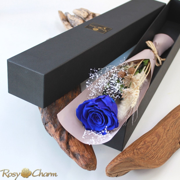 楽天市場 誕生日 花 ギフト 花鉢 プレゼント 鉢植え 寄せ鉢 5種類の鉢植えで作る季節の花かご 結婚記念日 退職祝い お祝い 記念日 敬老の日 : 花むすび楽天市場店