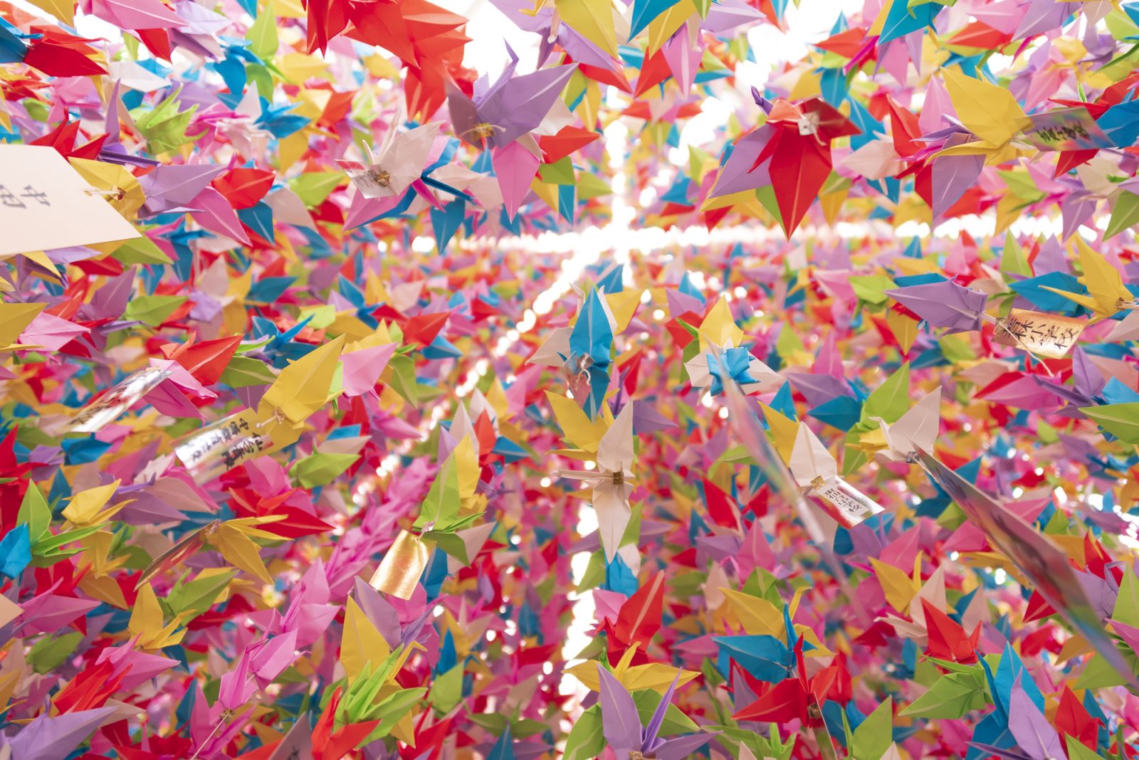 他クラスと被らない！ちょっと変わった文化祭の出し物9選アオハル