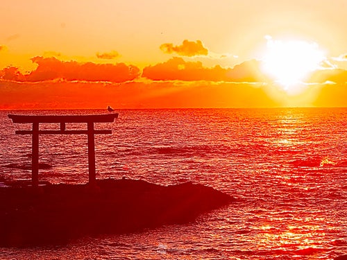 神々しい光に包まれよう！静岡県 絶景初日の出スポット10選 静岡県の情報サイト we love 静岡