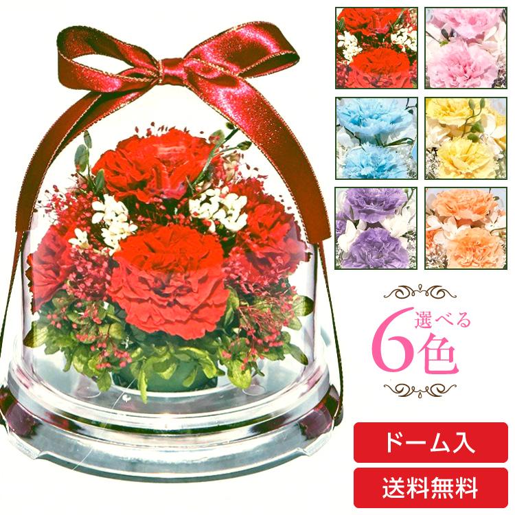 カーネーションの花束 一本３２４円 ・１０本入り３２４０円～ Ｊ'ａｉｍｅ ｌａ ｆｌｅｕｒ ＊花や＊