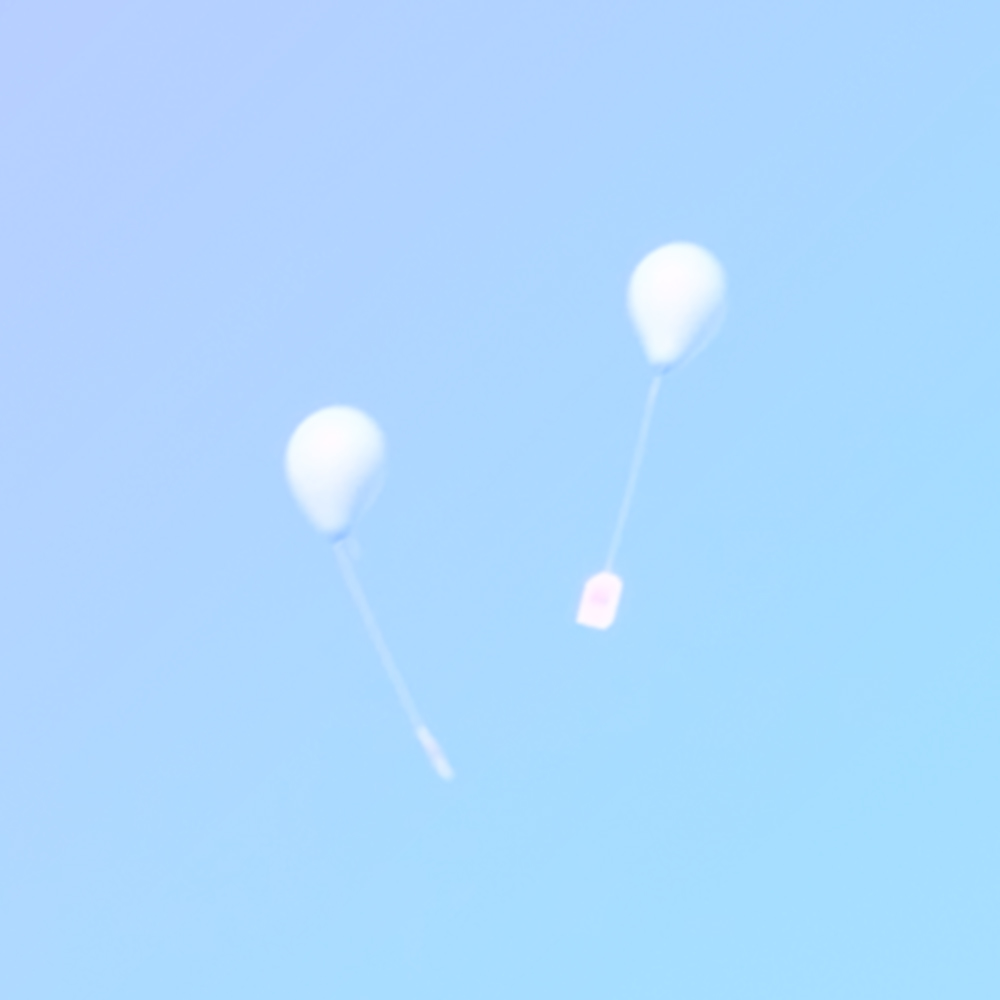 風船飛ばしをお考えの方